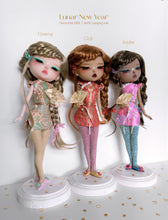 Load image into Gallery viewer, Ginseng 参