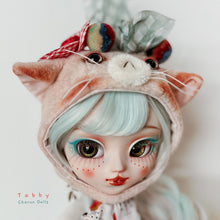 Load image into Gallery viewer, 169.Tabby