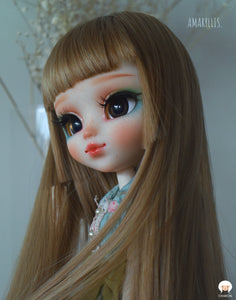 97.Amaryllis
